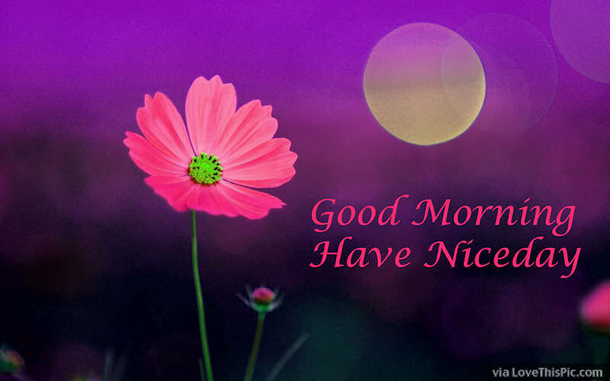 20 Cute Good Morning Quotes For Monday - picture 14
