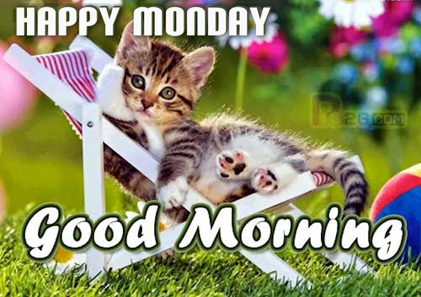 20 Cute Good Morning Quotes For Monday - picture 18