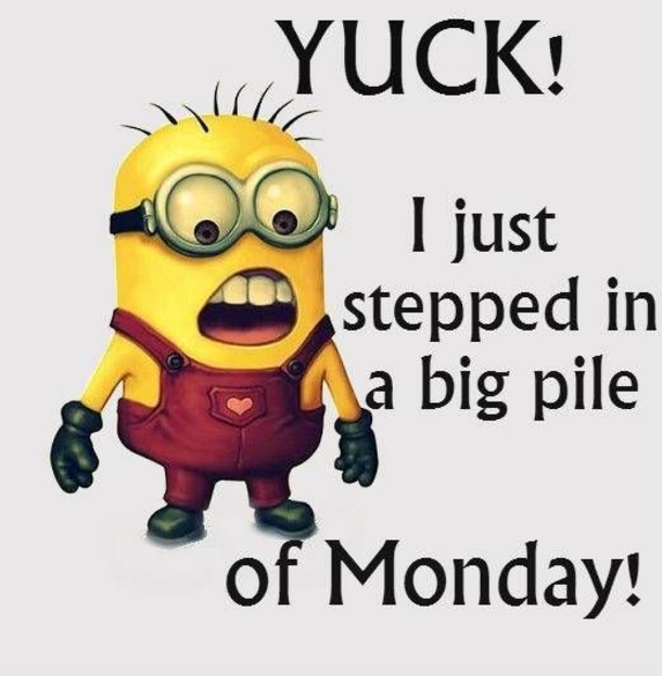 20 Cute Good Morning Quotes For Monday - picture 8