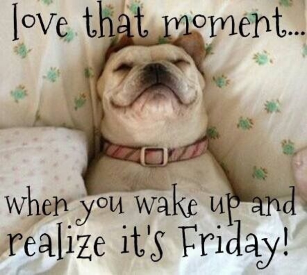 20 Friday Quotes To Help You Celebrate The End Of The Week - picture 18