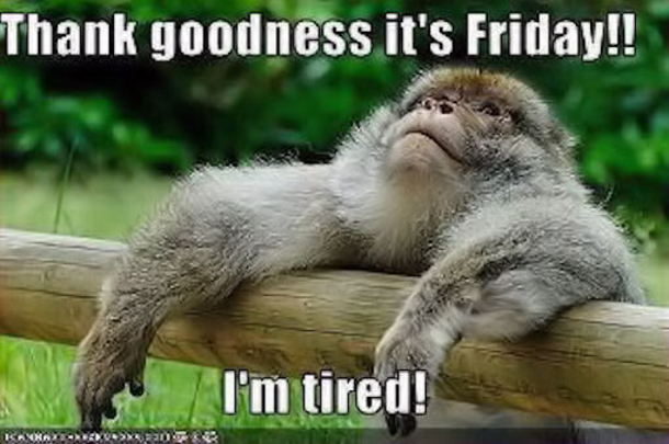 20 Friday Quotes To Help You Celebrate The End Of The Week - picture 8