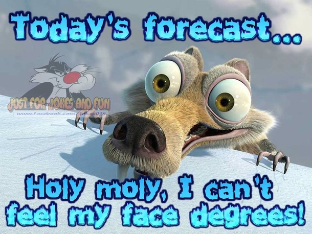 20 Funny Winter Images To Help Get Over Your Winter Blues - picture 17