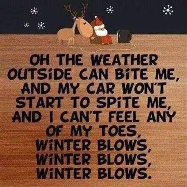 20 Funny Winter Images To Help Get Over Your Winter Blues - picture 19