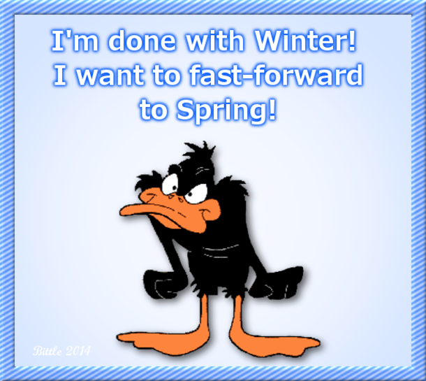 20 Funny Winter Images To Help Get Over Your Winter Blues - picture 20