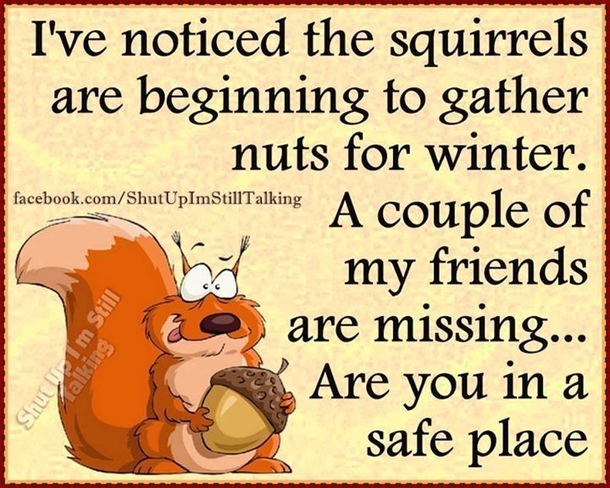 20 Funny Winter Images To Help Get Over Your Winter Blues - picture 3