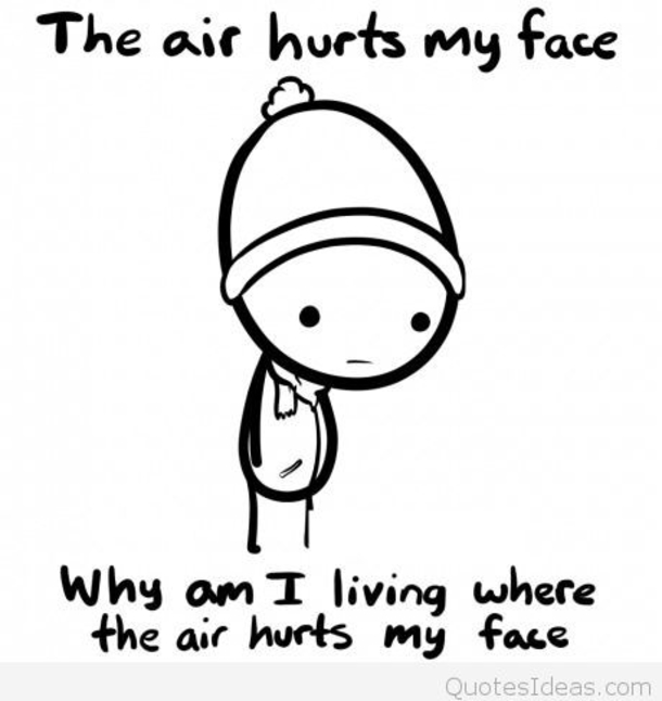 20 Funny Winter Images To Help Get Over Your Winter Blues - picture 6