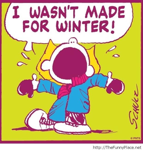 20 Funny Winter Images To Help Get Over Your Winter Blues - picture 7