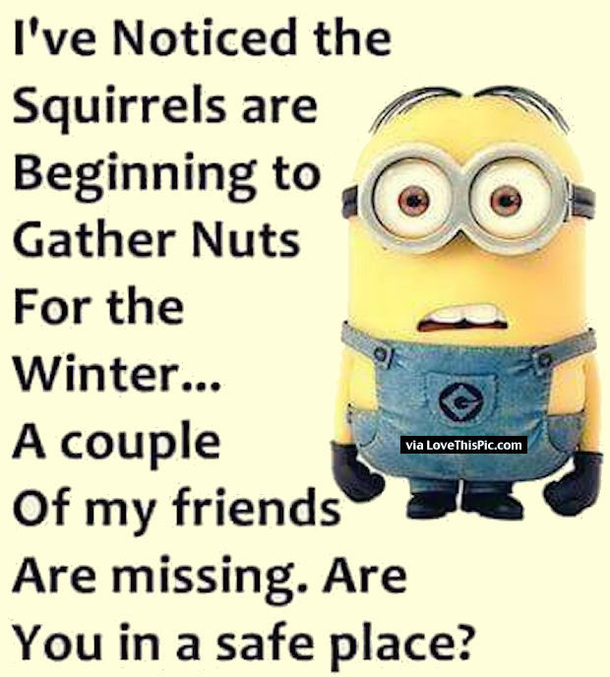 20 Funny Winter Images To Help Get Over Your Winter Blues - picture 9