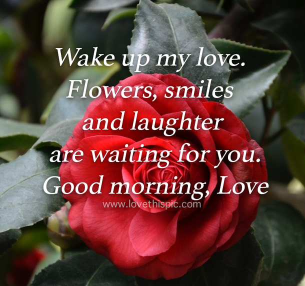 20 Good Morning Quotes For Her To Make Her Smile - picture 2