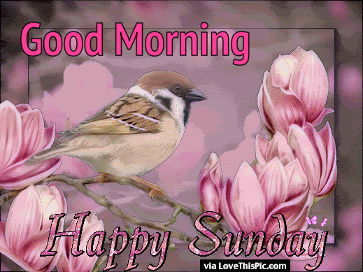 20 Good Morning Sunday Quotes To Get Your Day Started - picture 10