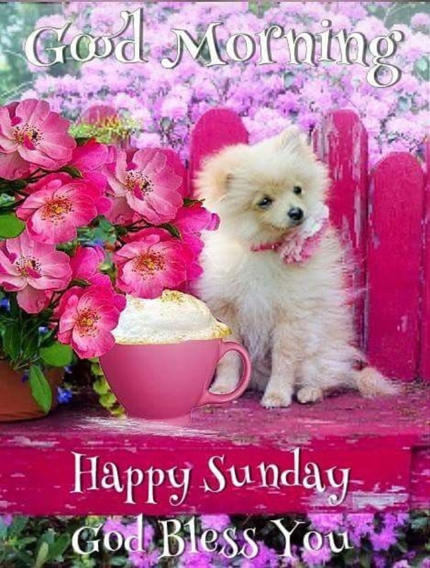 20 Good Morning Sunday Quotes To Get Your Day Started - picture 11