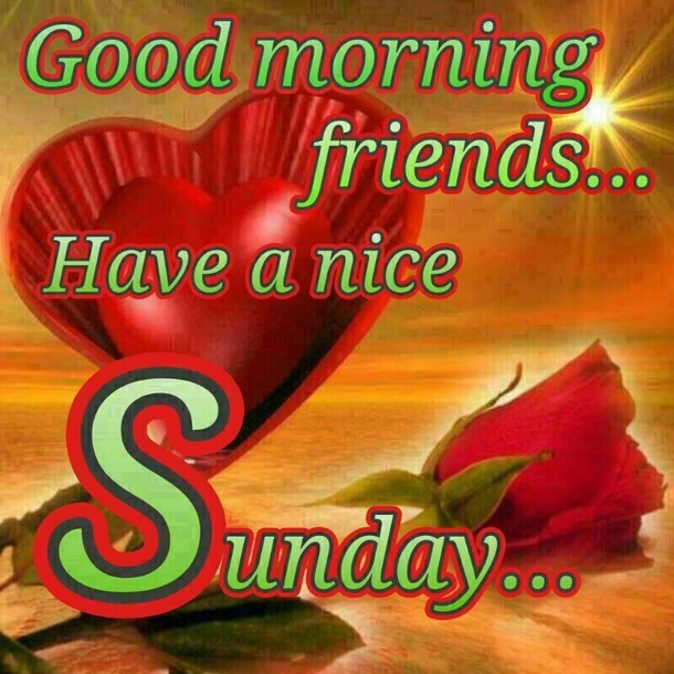 20 Good Morning Sunday Quotes To Get Your Day Started - picture 14