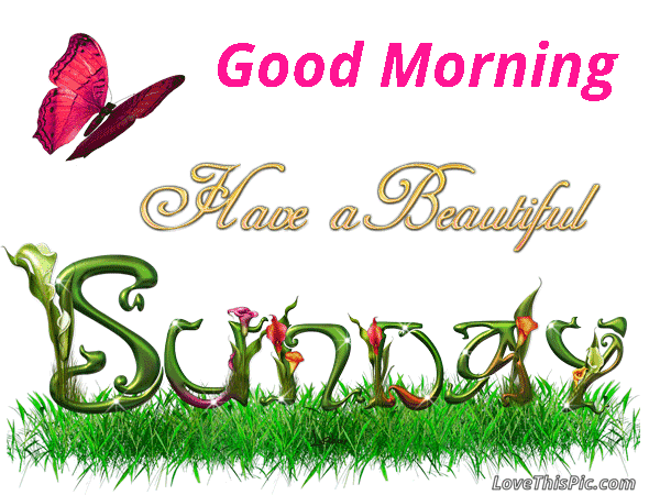 20 Good Morning Sunday Quotes To Get Your Day Started - picture 15