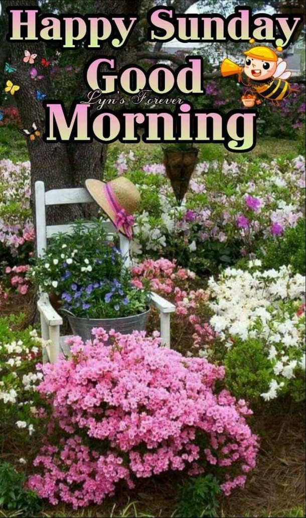 20 Good Morning Sunday Quotes To Get Your Day Started - picture 18