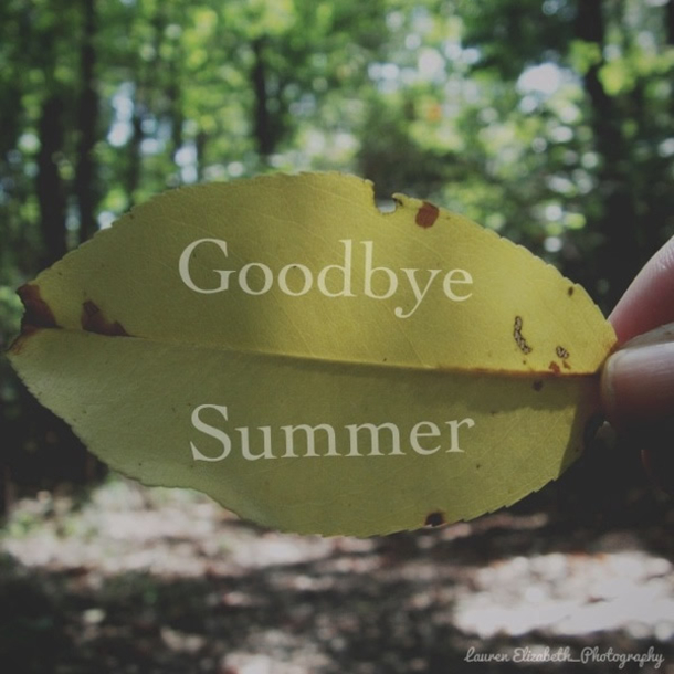 20 Goodbye Summer Quotes - picture 12