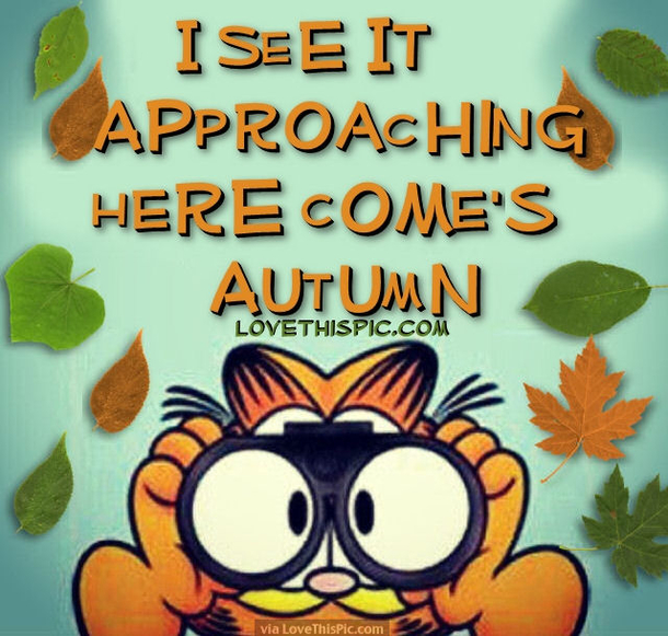 20 Goodbye Summer Quotes - picture 21