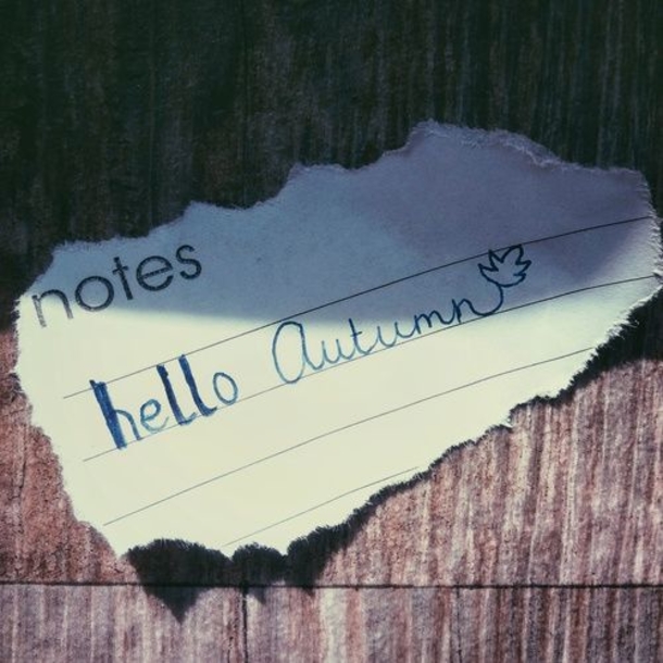 20 Happy Fall Quotes - picture 11