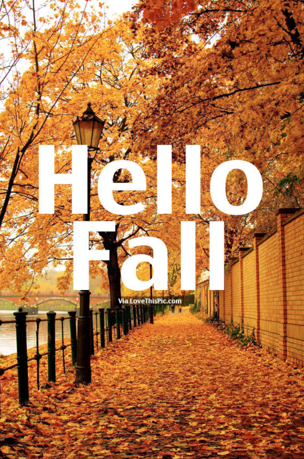 20 Happy Fall Quotes - picture 7