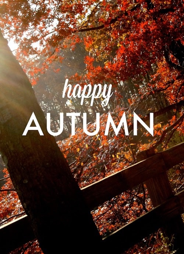 20 Happy Fall Quotes - picture 9