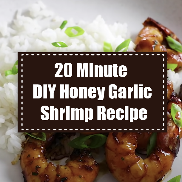 20 Minute DIY Honey Garlic Shrimp Recipe
