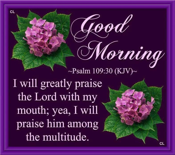 20 Morning Bible Verses, Quotes And Scriptures For 2023 - picture 4