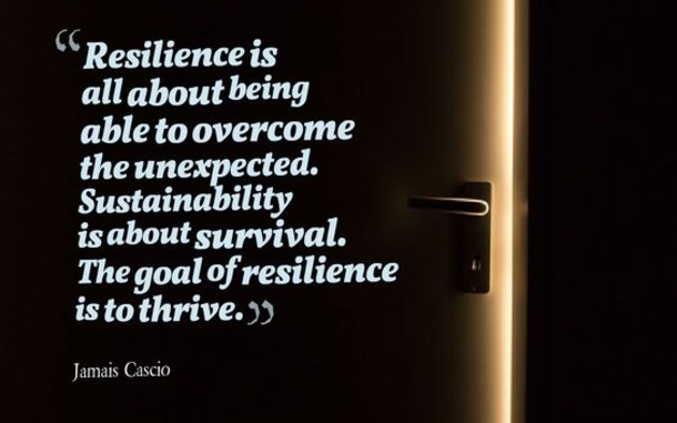 20 Most Motivational Quotes About Being Resilient - picture 3