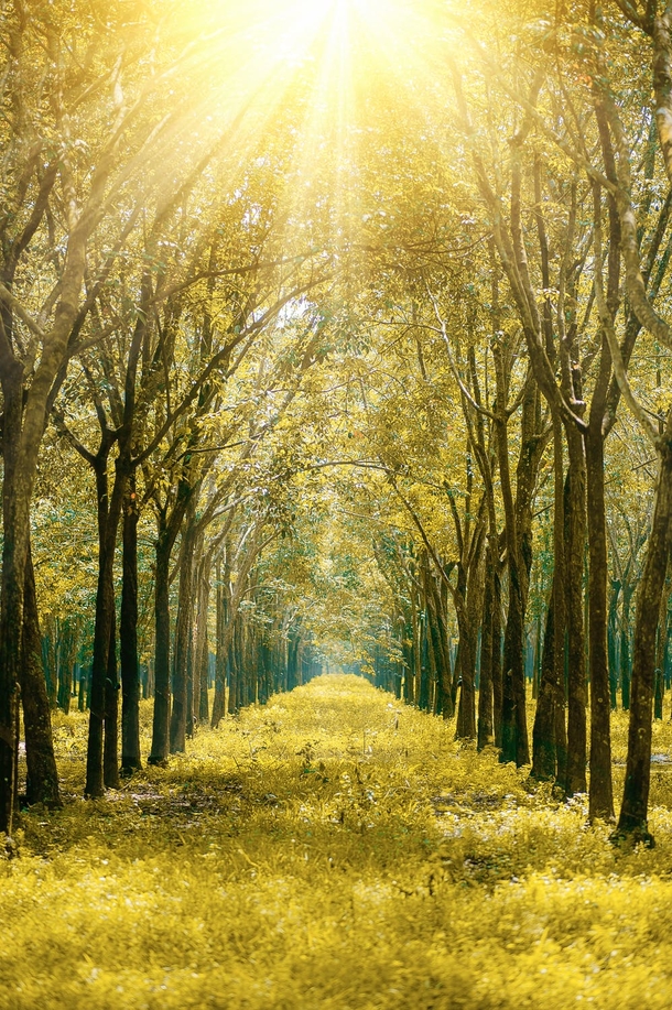 20 Scenic & Beautiful Good Morning Sunrise Images - picture 10