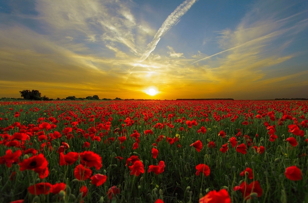 20 Scenic & Beautiful Good Morning Sunrise Images - picture 16