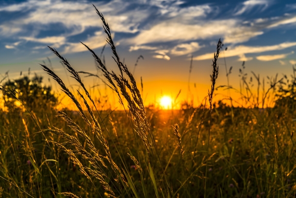 20 Scenic & Beautiful Good Morning Sunrise Images - picture 17