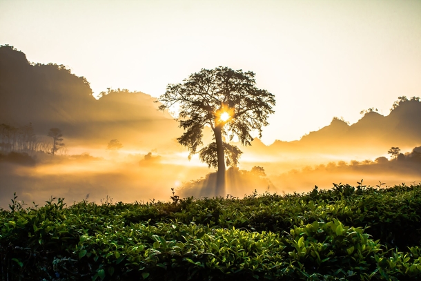 20 Scenic & Beautiful Good Morning Sunrise Images - picture 19