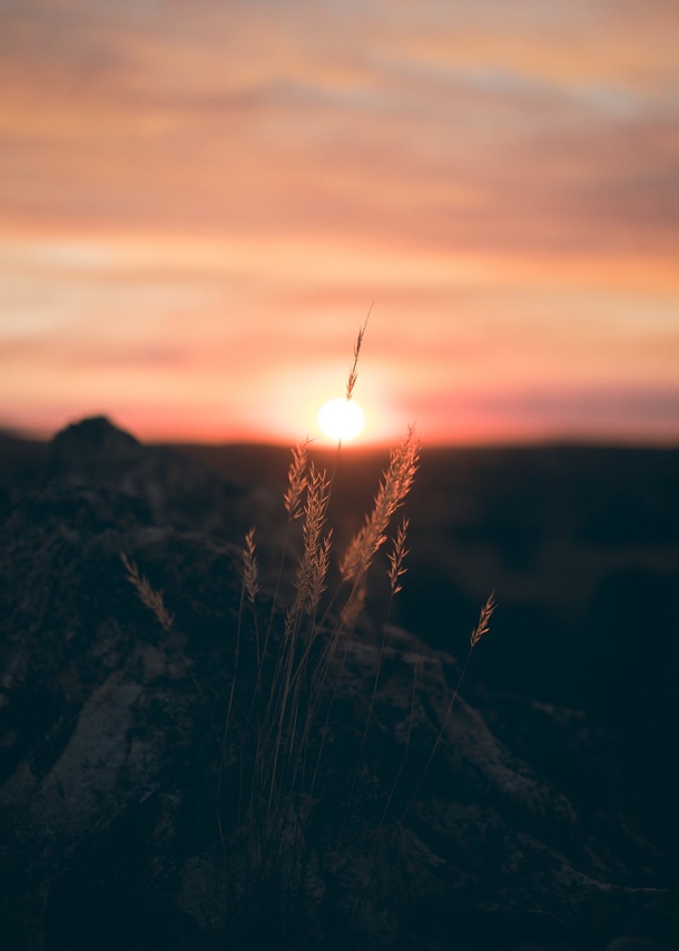 20 Scenic & Beautiful Good Morning Sunrise Images - picture 5