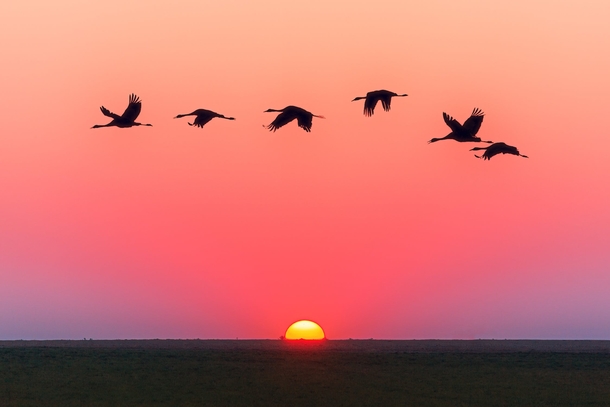 20 Scenic & Beautiful Good Morning Sunrise Images - picture 9