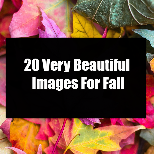 20 Very Beautiful Images For Fall