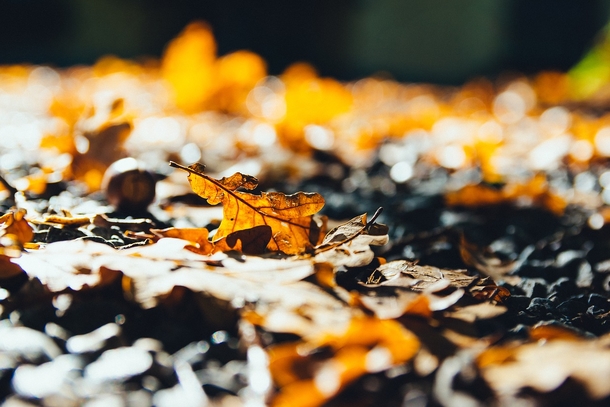 20 Very Beautiful Images For Fall - picture 10