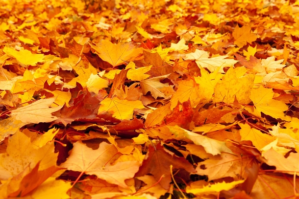 20 Very Beautiful Images For Fall - picture 12