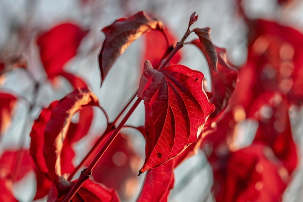 20 Very Beautiful Images For Fall - picture 13