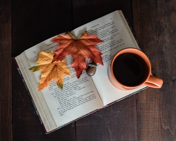 20 Very Beautiful Images For Fall - picture 16
