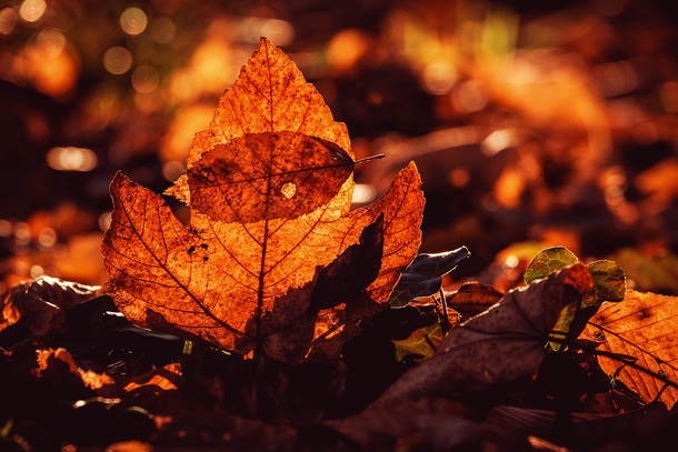 20 Very Beautiful Images For Fall - picture 17