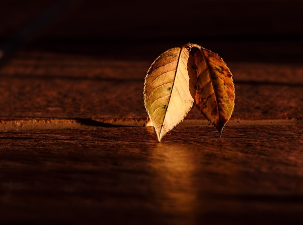 20 Very Beautiful Images For Fall - picture 2