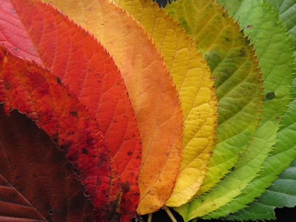 20 Very Beautiful Images For Fall - picture 20
