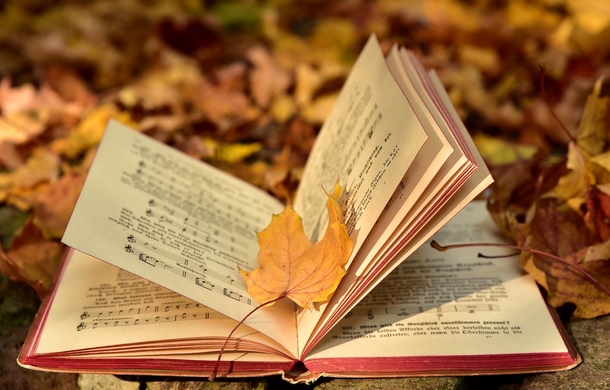 20 Very Beautiful Images For Fall - picture 21