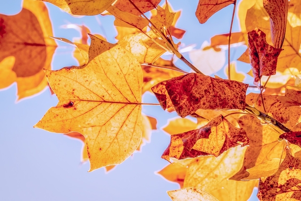 20 Very Beautiful Images For Fall - picture 3