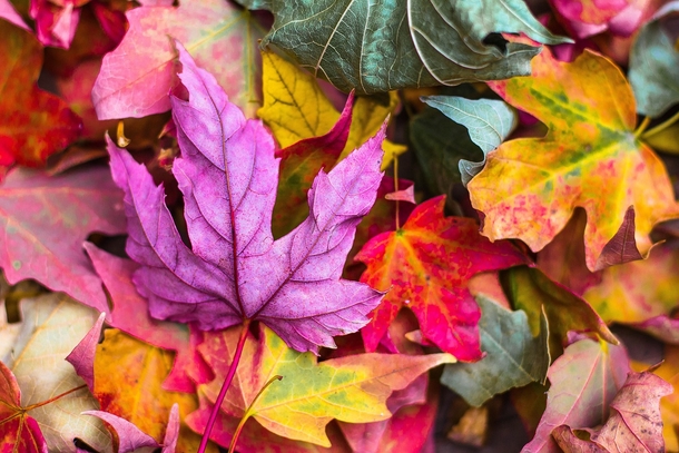 20 Very Beautiful Images For Fall - picture 4