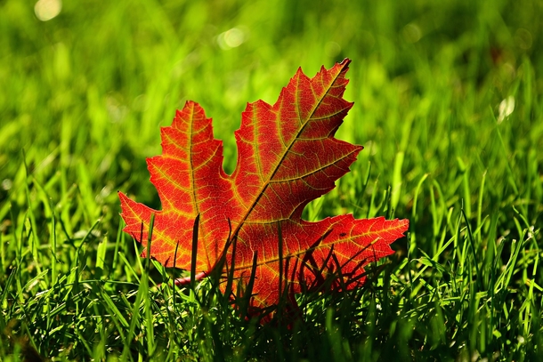 20 Very Beautiful Images For Fall - picture 8