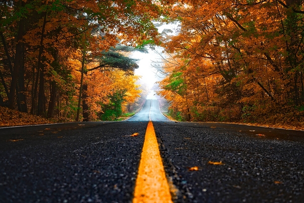 20 Very Beautiful Images For Fall - picture 9
