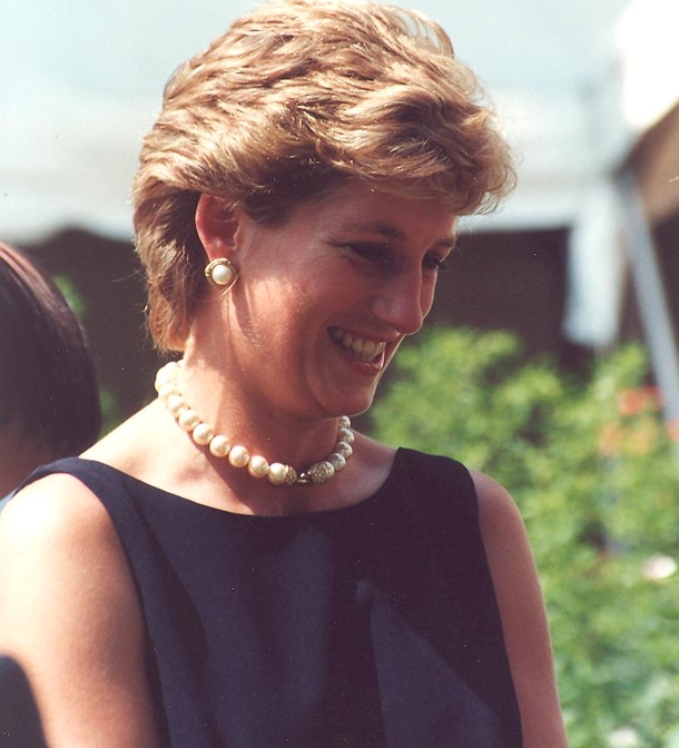 20 Years After Diana’s Death, William and Harry Know It’s Finally Time and Release Letter from Palace - picture 3
