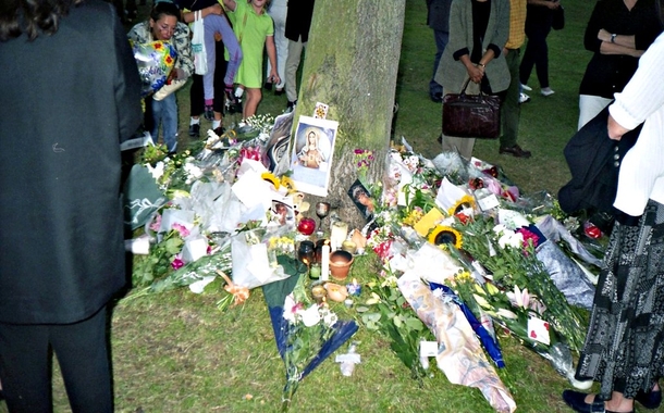 20 Years After Diana’s Death, William and Harry Know It’s Finally Time and Release Letter from Palace - picture 4