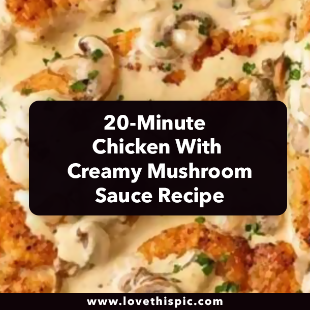 20-Minute Chicken With Creamy Mushroom Sauce Recipe