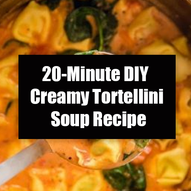 20-Minute DIY Creamy Tortellini Soup Recipe