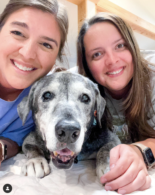 20-year-old shelter dog was who saved by two best friends last year, has passed away — rest in peace - picture 4